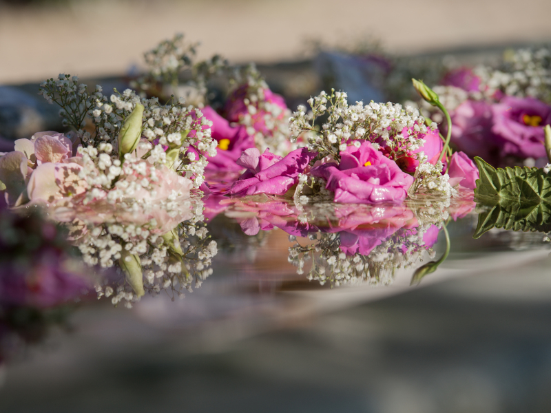 ValerieEggerPhotographie