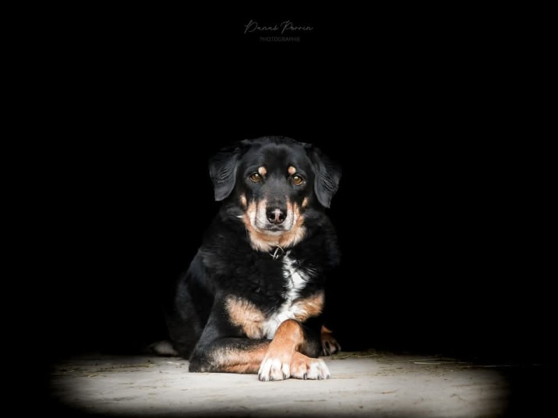 DP-photographie