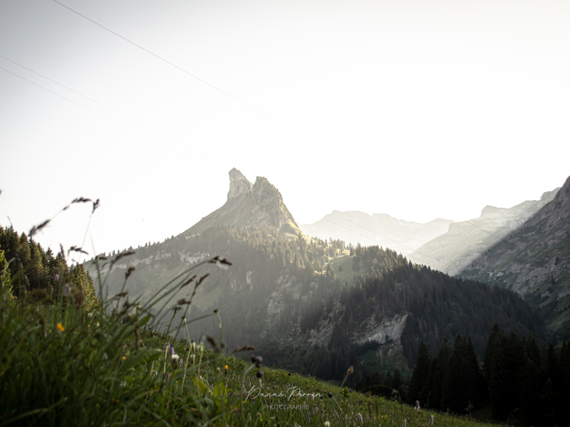 DP-photographie